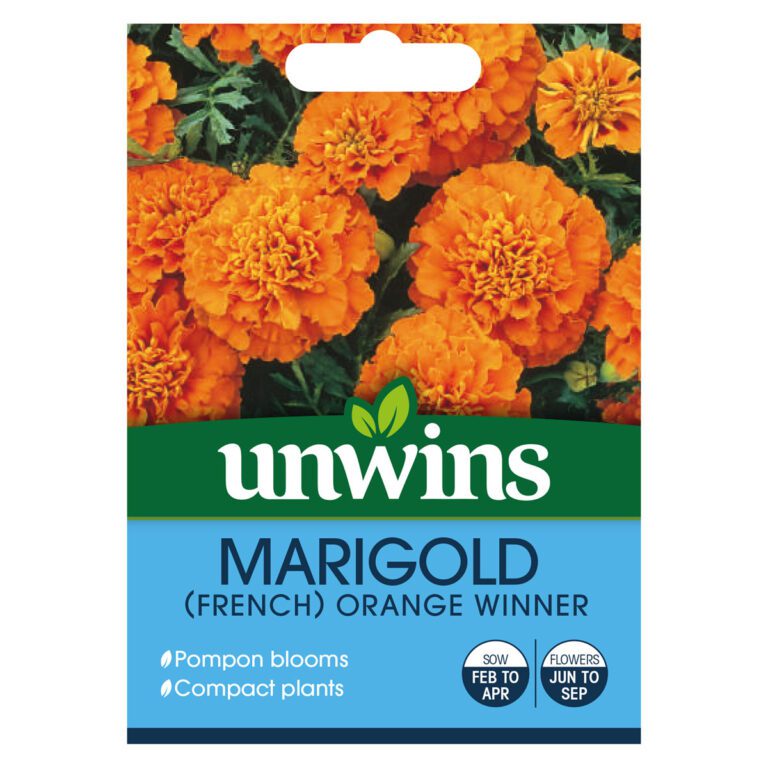 5051618011600 1 Marigold French Orange Winner Seeds.jpg